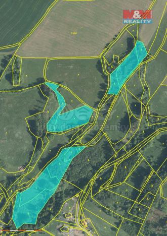 Prodej lesa, Košťálov, 33054 m2