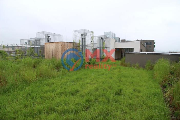 Prodej bytu 5+kk, Praha - Vršovice, Archangelská, 302 m2