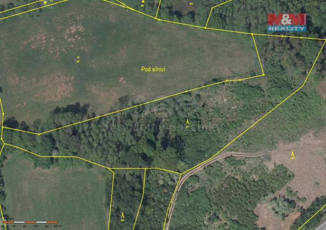 Prodej lesa, Úbislavice, 13753 m2