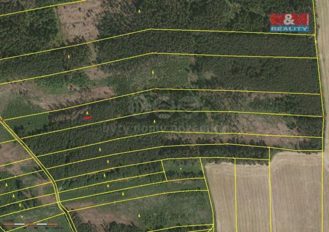 Prodej lesa, Ratibořské Hory - Vřesce, 30934 m2