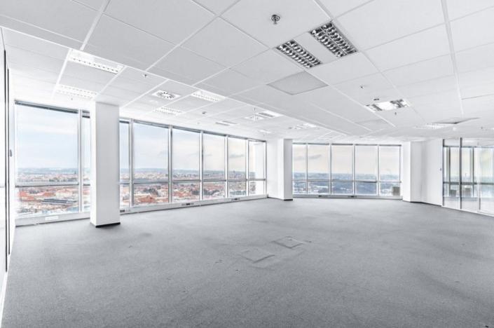 Pronájem obchodního prostoru, Praha - Krč, Na strži, 554 m2