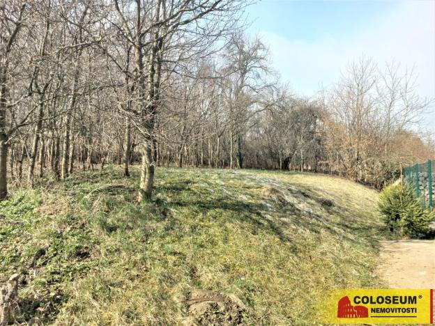 Prodej zahrady, Lysice, 2519 m2