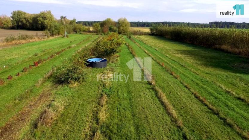 Prodej zahrady, Kladruby nad Labem - Bílé Vchynice, 6054 m2