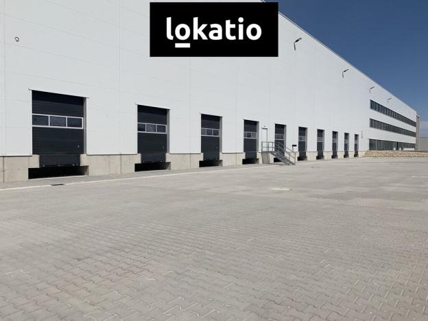 Pronájem skladu, Solnice, Průmyslová, 1819 m2