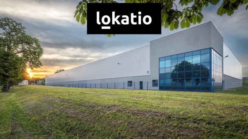 Pronájem skladu, Chrášťany, Ke Kapitule, 8794 m2