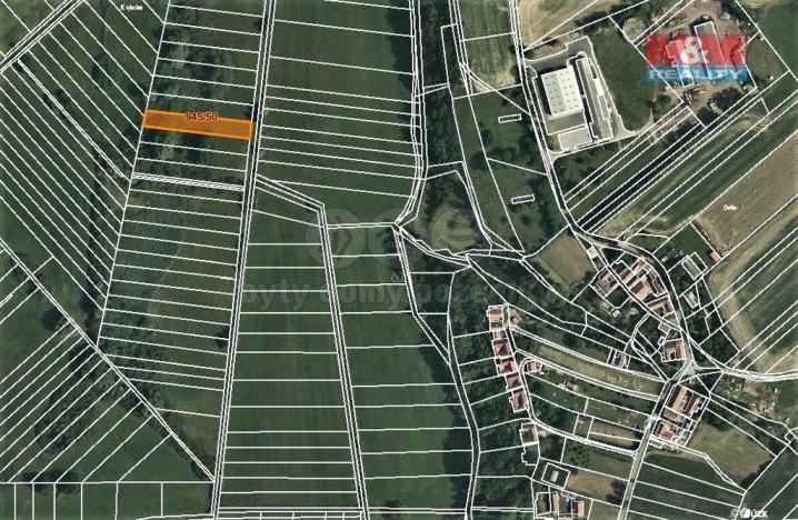 Prodej trvalého travního porostu, Cerekvice nad Loučnou, 1762 m2