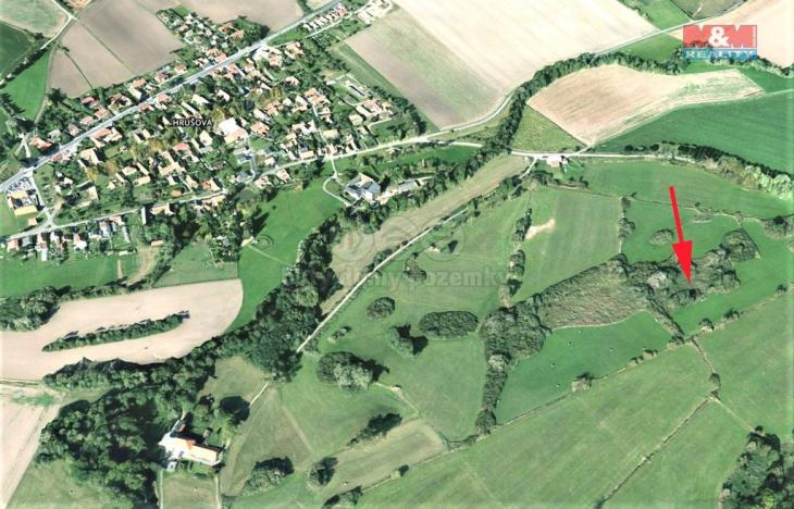 Prodej trvalého travního porostu, Cerekvice nad Loučnou, 1762 m2