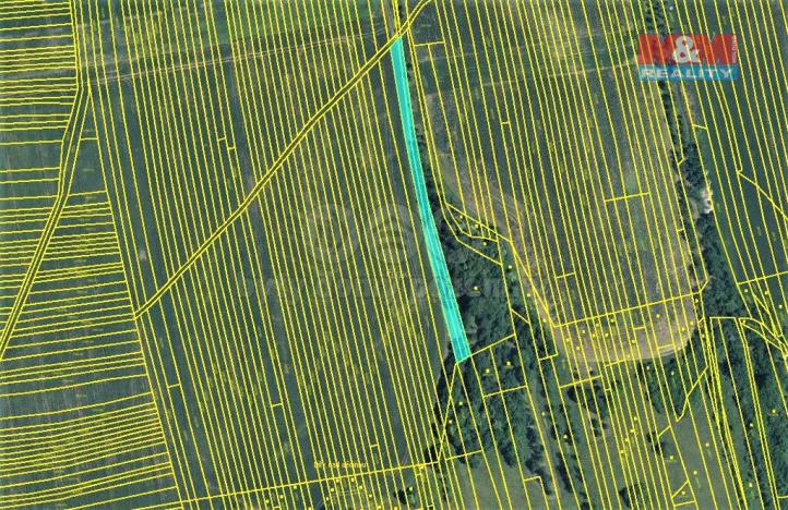 Prodej zemědělské půdy, Kněždub, 1981 m2