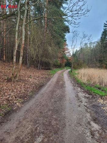 Prodej pozemku pro bydlení, Chyňava, 1246 m2