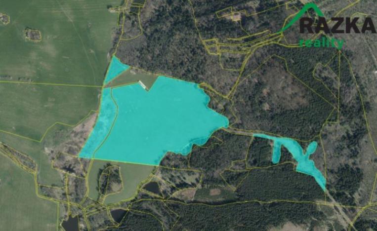 Prodej zemědělské půdy, Hošťka, 645446 m2