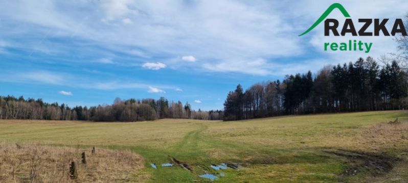 Prodej zemědělské půdy, Hošťka, 645446 m2