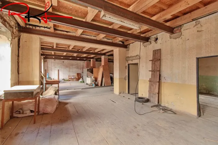 Prodej bytu 3+1, Židovice, 160 m2