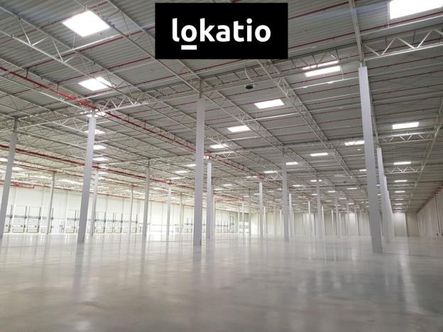 Pronájem skladu, Syrovice, 5061 m2