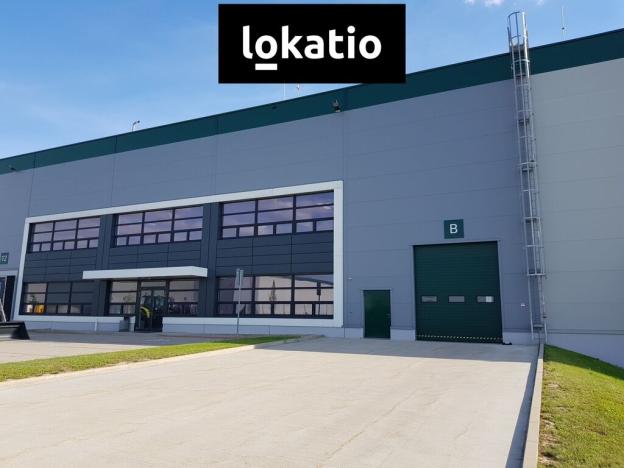 Pronájem skladu, Syrovice, 5061 m2