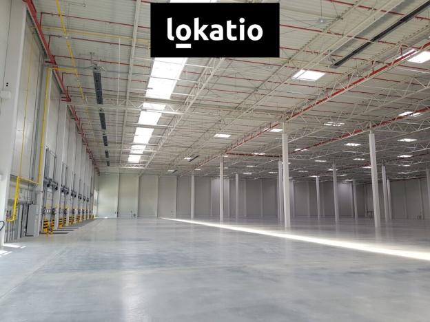 Pronájem skladu, Syrovice, 5061 m2