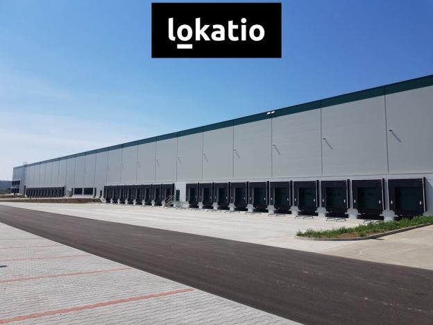 Pronájem skladu, Syrovice, 5061 m2