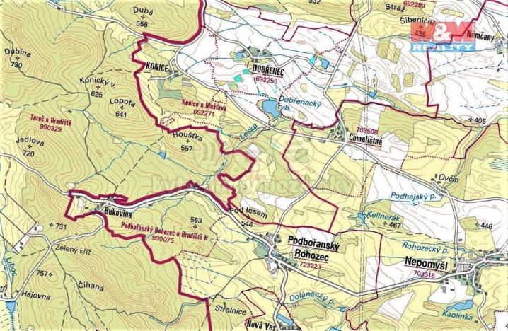 Prodej trvalého travního porostu, Mašťov - Dobřenec, 4385 m2