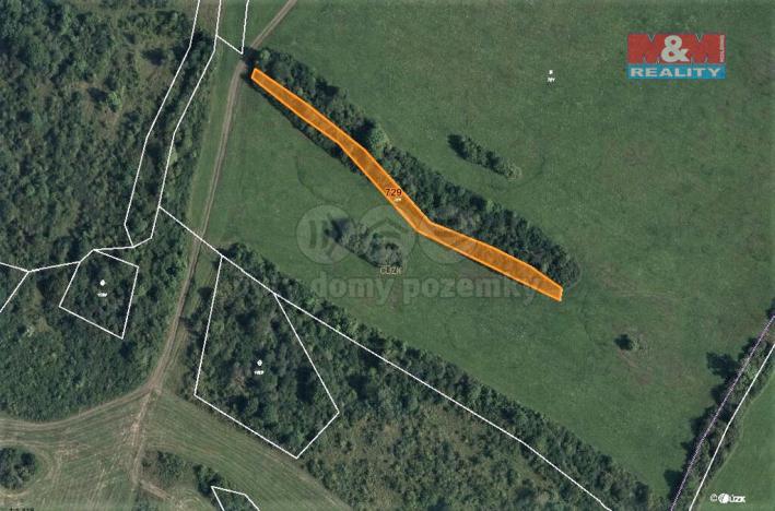 Prodej trvalého travního porostu, Mašťov, 1385 m2