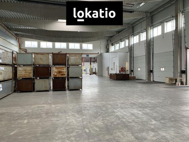 Pronájem skladu, Čelákovice, 10000 m2