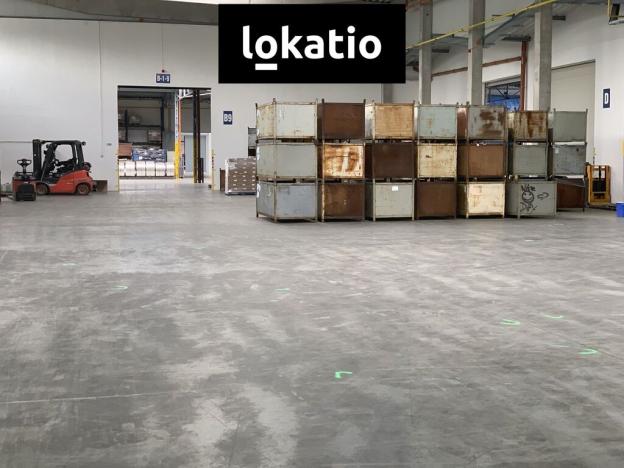Pronájem skladu, Čelákovice, 10000 m2