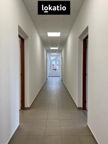 Pronájem skladu, Čelákovice, 10000 m2