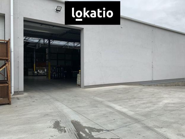 Pronájem skladu, Čelákovice, 10000 m2