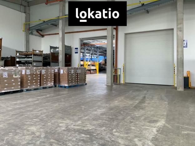 Pronájem skladu, Čelákovice, 10000 m2