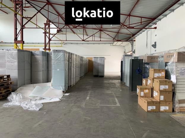 Pronájem skladu, Čelákovice, 10000 m2