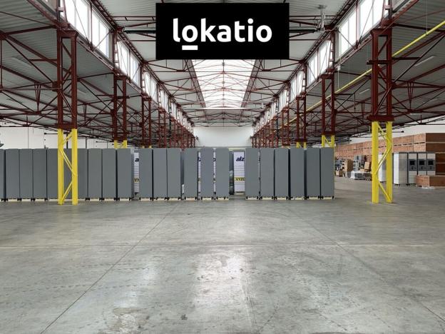 Pronájem skladu, Čelákovice, 10000 m2