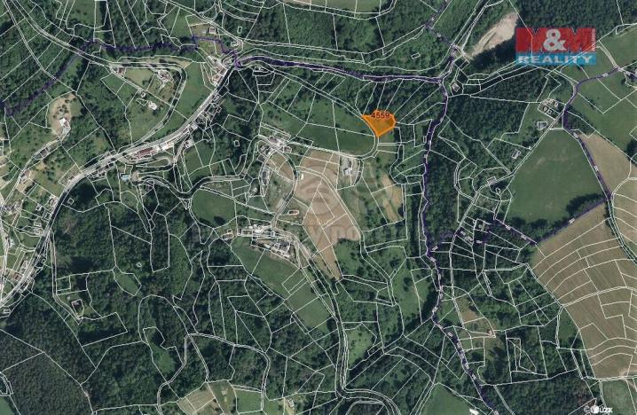 Prodej trvalého travního porostu, Koberovy, 2044 m2