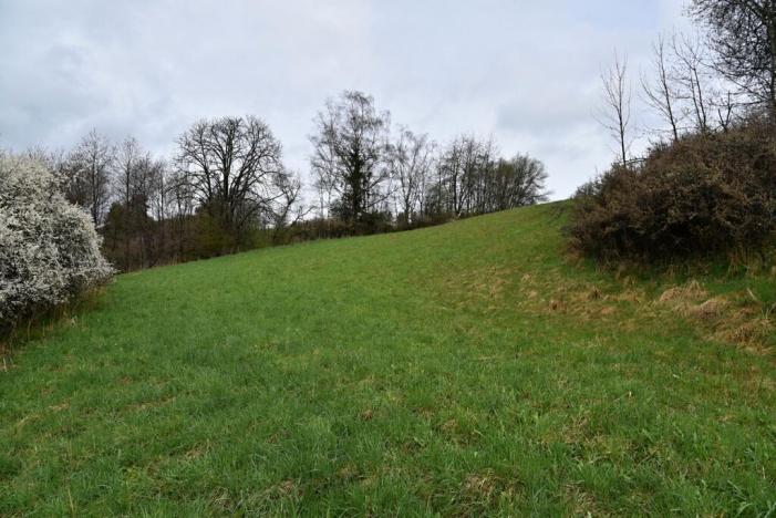 Prodej pozemku pro bydlení, Vyšší Brod, Lidická, 2155 m2