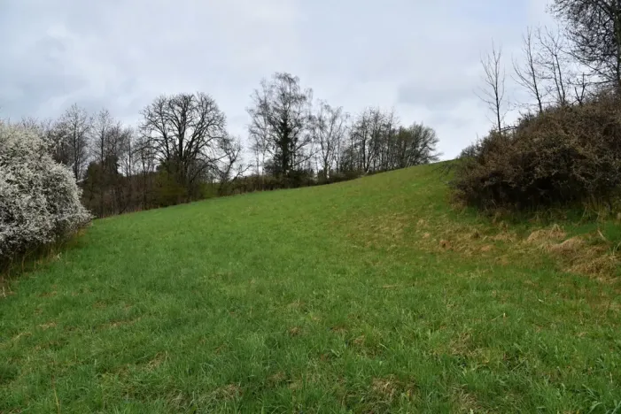 Prodej pozemku pro bydlení, Vyšší Brod, Lidická, 2155 m2