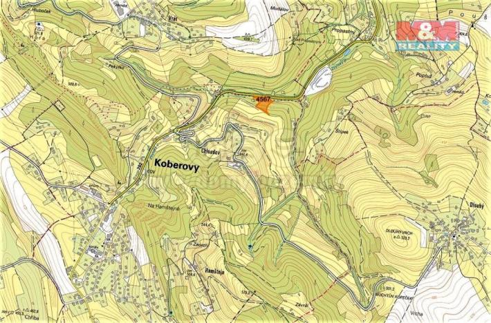 Prodej lesa, Koberovy, 3547 m2