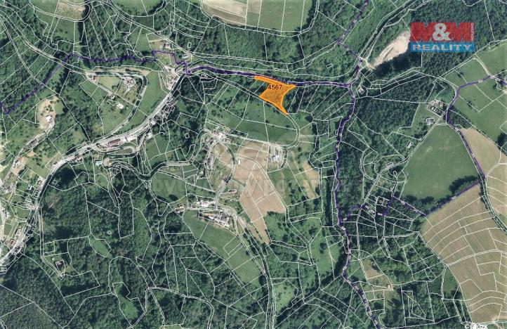 Prodej lesa, Koberovy, 3547 m2