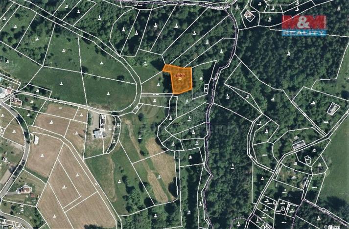 Prodej lesa, Koberovy, 2693 m2