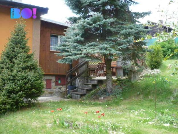 Prodej chaty, Zábřeh - Dolní Bušínov, 55 m2