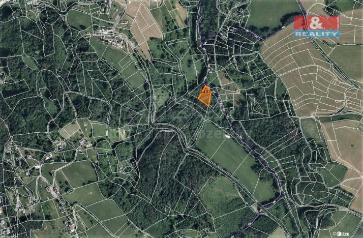 Prodej lesa, Koberovy, 2062 m2