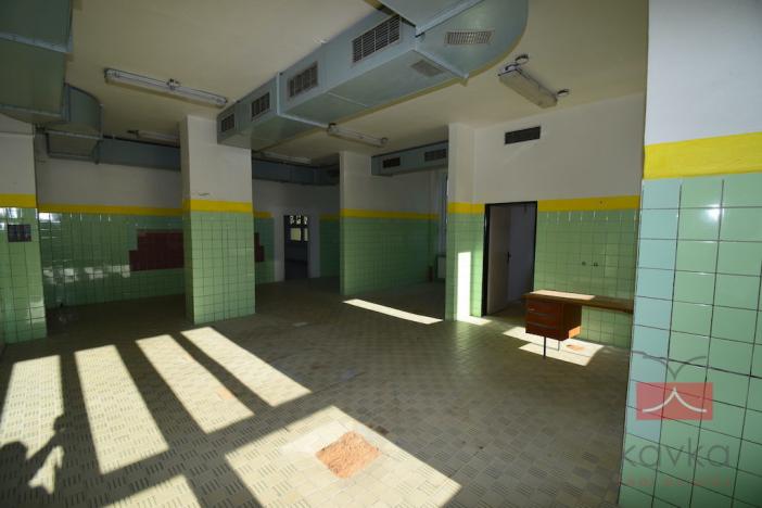 Pronájem výrobních prostor, Pelhřimov, Pražská, 665 m2