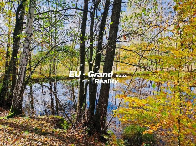Prodej rybníku, Velký Šenov, 2339 m2