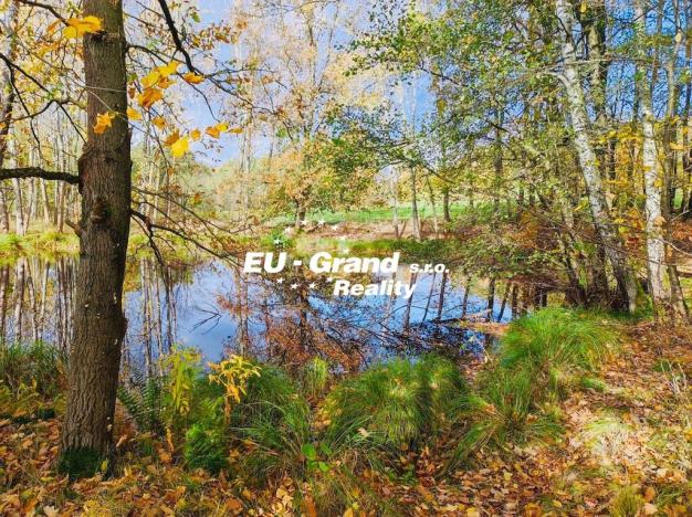 Prodej rybníku, Velký Šenov, 2339 m2