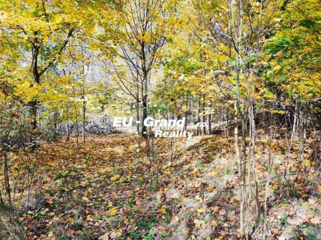 Prodej rybníku, Velký Šenov, 2339 m2