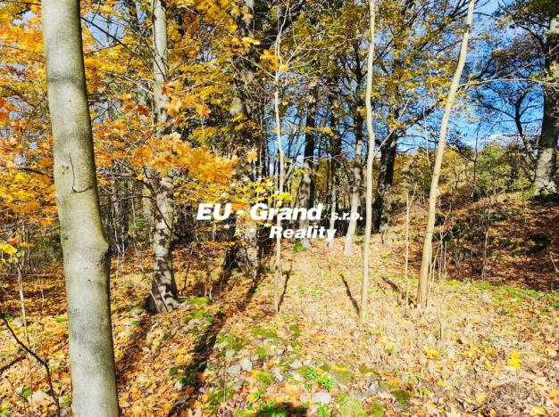 Prodej rybníku, Velký Šenov, 2339 m2