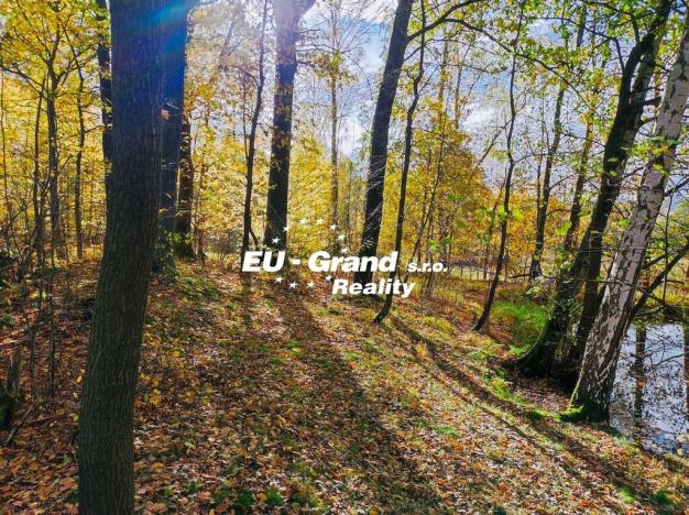 Prodej rybníku, Velký Šenov, 2339 m2