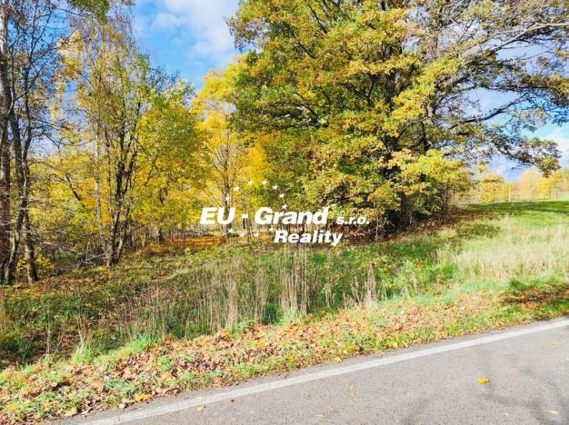 Prodej rybníku, Velký Šenov, 2339 m2