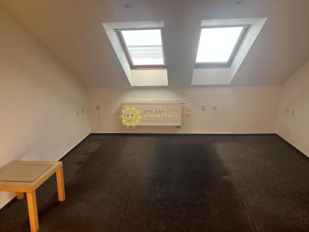 Pronájem pokoje, Hradec Králové, Eliščino nábřeží, 18 m2