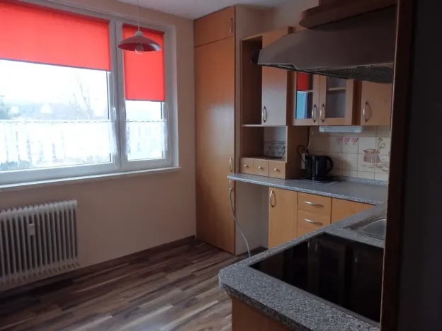 Pronájem bytu 1+1, Břidličná, Nerudova, 37 m2