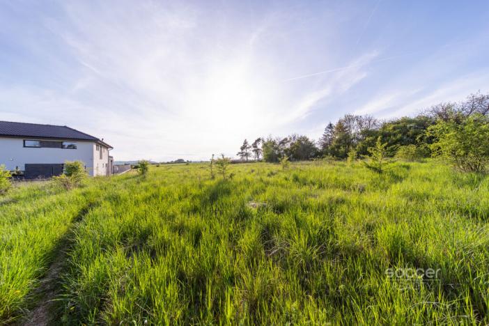 Prodej pozemku pro bydlení, Dobříč, 2813 m2