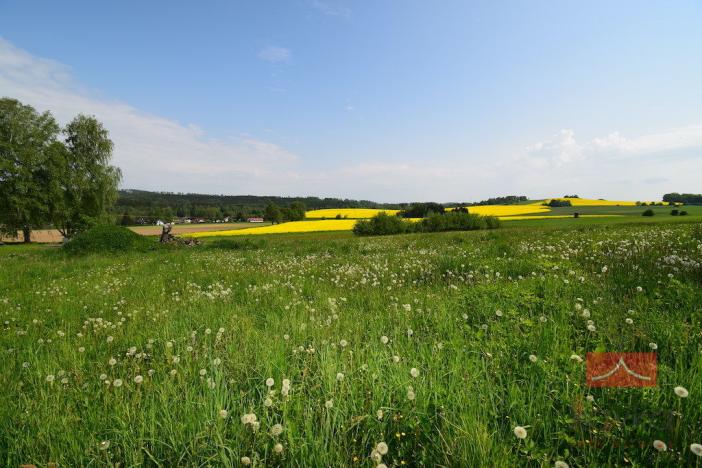Prodej pozemku pro bydlení, Herálec - Zdislavice, 961 m2