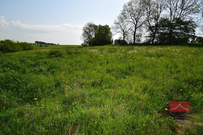 Prodej pozemku pro bydlení, Herálec - Zdislavice, 961 m2