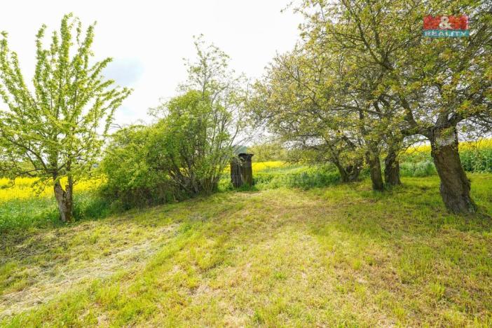 Prodej zemědělské půdy, Ostrov u Bezdružic - Pláň, 6672 m2